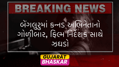 bengaluru-kannada-actor-firing-incident