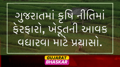 gujarat-agricultural-policy-changes