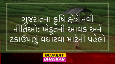 gujarat-agriculture-new-policies