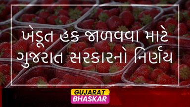 gujarat-government-farmers-land-status