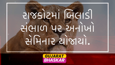 rajkot-seminar-cat-care