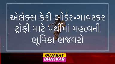 alex-carey-role-border-gavaskar-trophy-perth