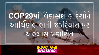cop29-vikas-shil-deshon-ne-nanani-jaruriyat