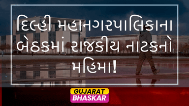 delhi-municipal-corporation-meeting-drama