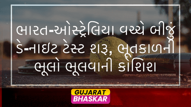 india-vs-australia-second-day-night-test-adelaide