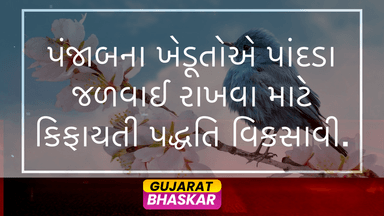 punjab-farmers-sustainable-method-paddy-stubble-management