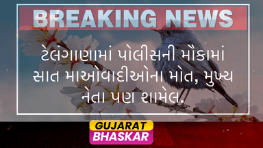 seven-maoists-killed-in-telangana-police-encounter